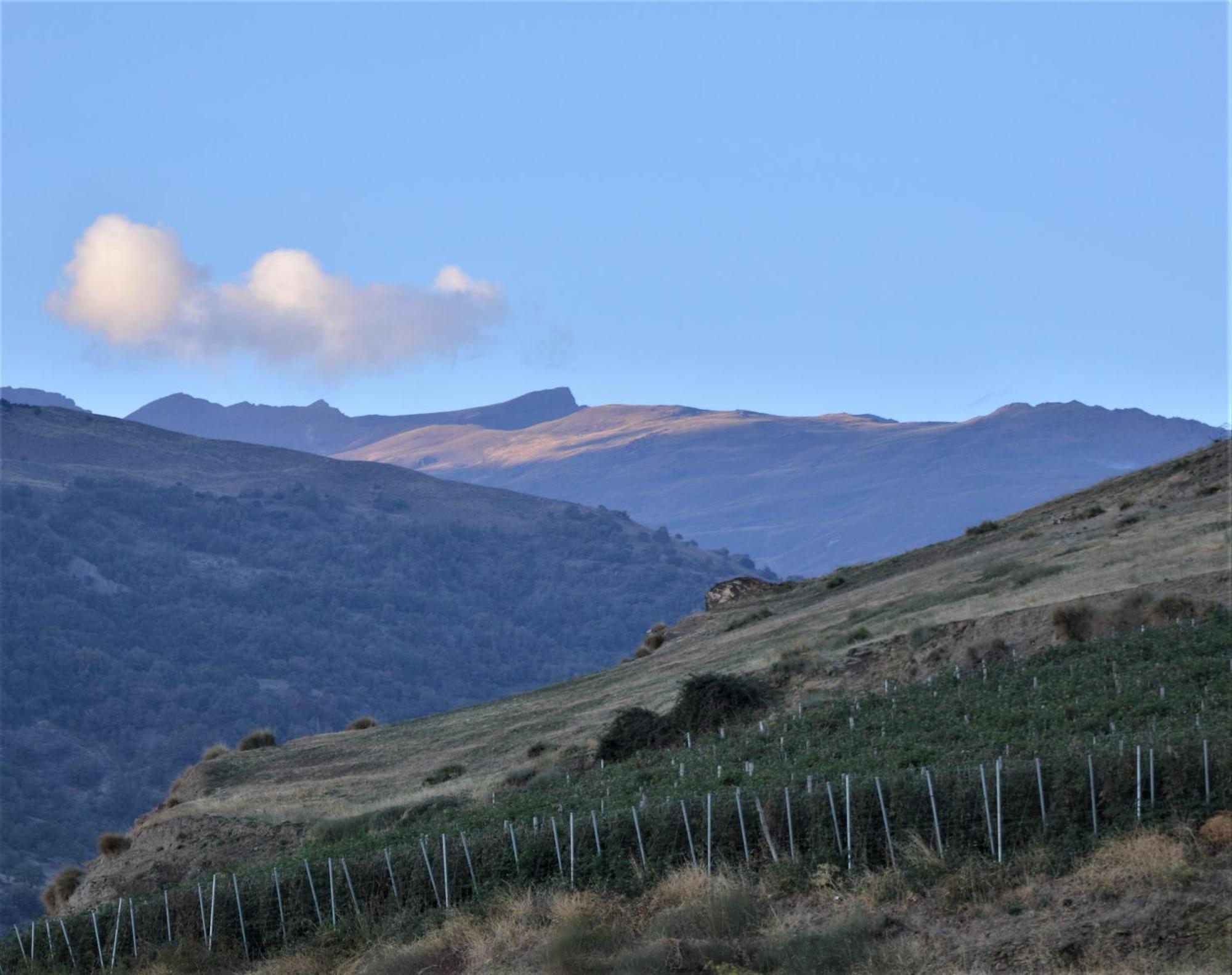 Hotel Rural Alfajía De Antonio